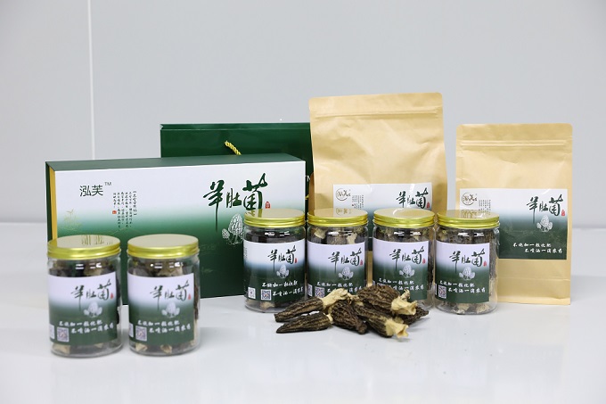 衡陽縣：羊肚菌新鮮上市?村民采收忙